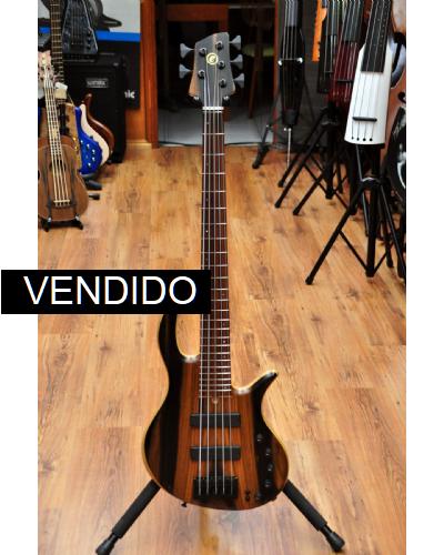Elrick Gold Series e-volution 5 Exotic Ebony Top